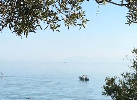 Mola Kalyva Casa | Mola Kalyva SeaView Mesidrili