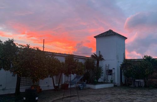 Montoro Casa | Molino La Nava