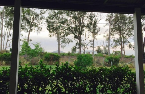 Cessnock Casa | Molly está en la vista del monte