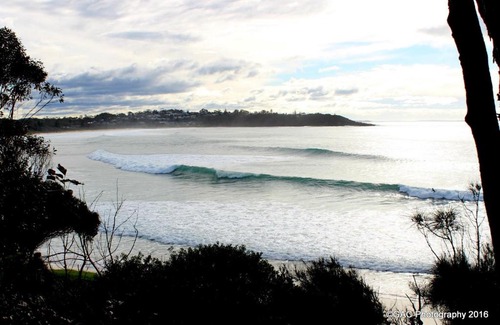 Mollymook Apartamento | Mollymook Cove Apartments