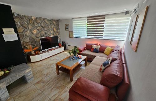 Brzac Complejo | Molnar Resort Apartment Sergej