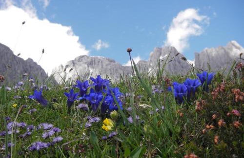 Muehlbach Am Hochkoenig Apartamento | Molteraugut