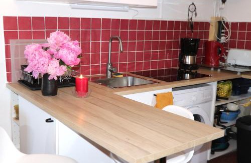 Beuil Apartamento | Mon Mounier : Studio cosy au pied des pistes/Vue de rêve !