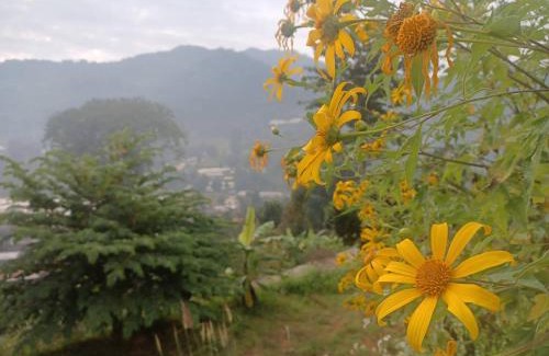 Pong Yaeng Casa | Mon View Doi