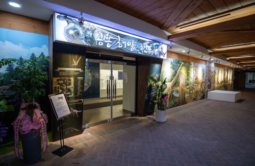 Daegwallyeong Apartamento | Yongpyong Resort Greenpia Condominium