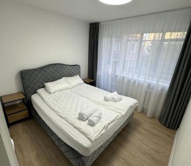 Siauliai City Center Apartamento | Moncerat
