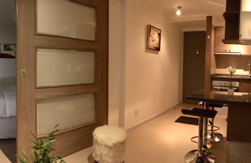 Downtown Santiago Apartamento | Moneda Express Apart