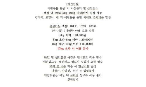 Mongdae Casa | mongsanpo cueogpensyeon