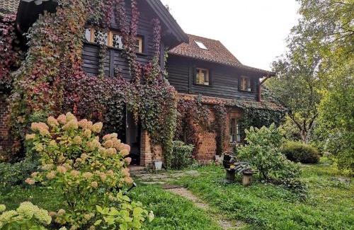 Jonkowo Casa | Moniówka