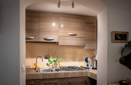 San Niccolo Apartamento | Monica apartment with garden at Ponte Vecchio