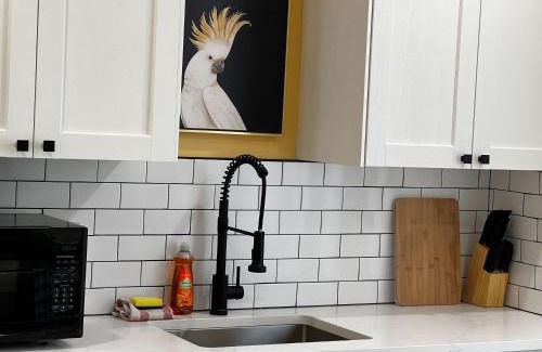 Downtown Apartamento | Monkey Jungle Vibrant 2-BDRM Rooftop Access, Unit #6