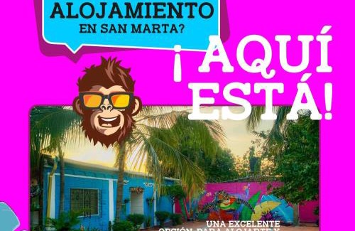 Papare Hotel | Monkey man, Beach House