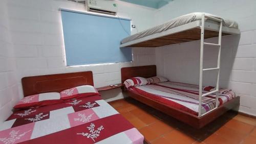 Papare Hotel | Monkey man, Beach House