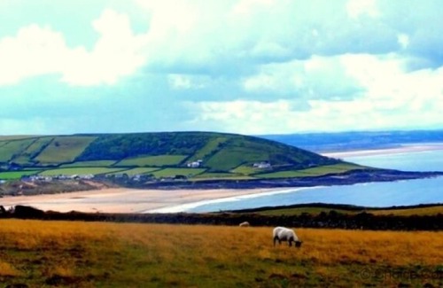 Westleigh Cabaña | Monkleigh COACHMANS RURAL | 1 dormitorio | bideford | 2 plazas