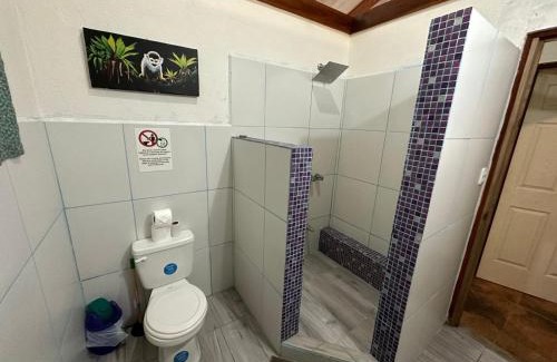 Cahuita Casa | Mono Azul Cahuita