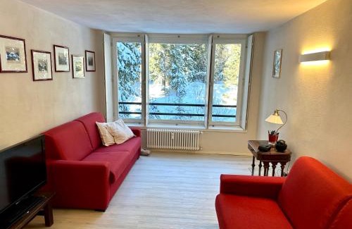 Campo Carlo Magno Apartamento | Monolocale Cristallo 20 - Serafini