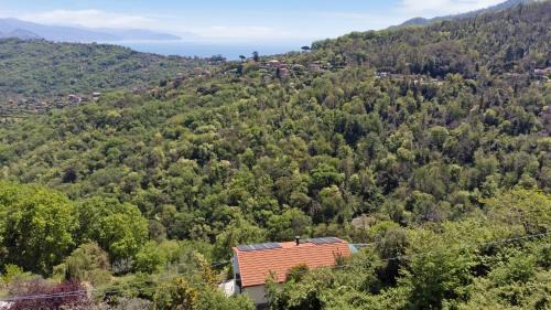Ruta Apartamento | Monolocale Fattorialmare Viola