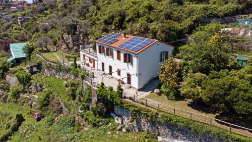 Ruta Apartamento | Monolocale Fattorialmare Viola