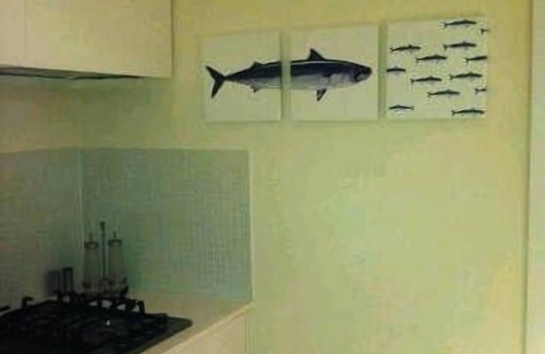 Historic Centre Apartamento | Monolocale Neve