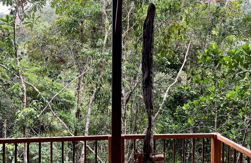 San Carlos Cabina | Montés Samaná