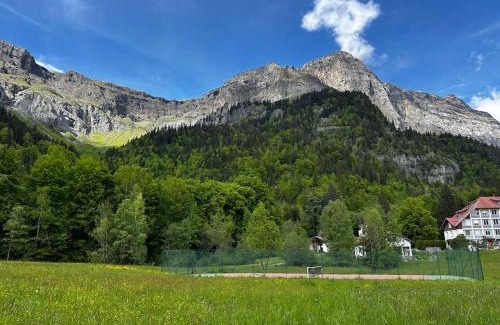 Plateau-d'Assy Apartamento | Mont Blanc view on a 40m2 Terrace
