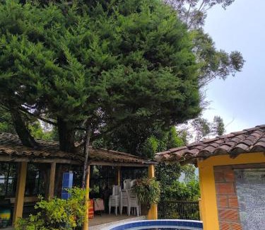 Medellin Cabina | Montaña Sanadora