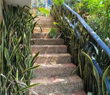 Medellin Cabina | Montaña Sanadora