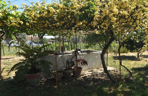Evoramonte Casa | Monte Évora, se Gosta de Campo