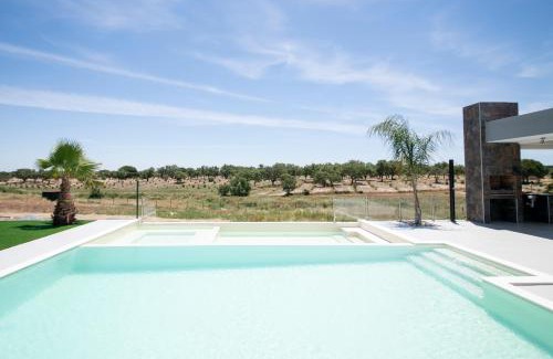 Bairro da Liberdade Villa | Monte Calmaria by Estilo Lusitano, with private pool and Jacuzzi
