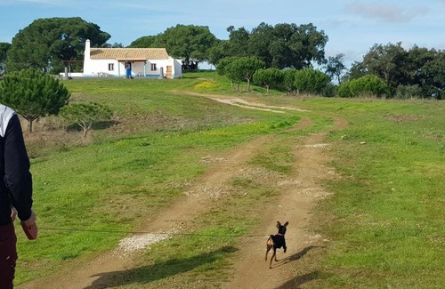 Melides Cabina | Monte da Belavista