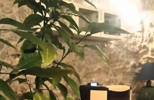 Toffia Cama Y Desayuno | Monte degli Elci b&b
