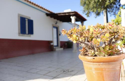 Santa Cruz Casa | Monte do Parral