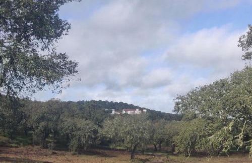 Bajolo Cama Y Desayuno | Monte do Roque