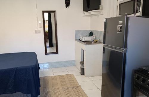 Mango Walk Apartamento | Montego Bay Garden Studio