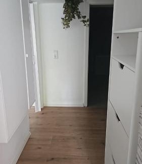 Roesrath Apartamento | Monteurwohnung in Rösrath- Overath