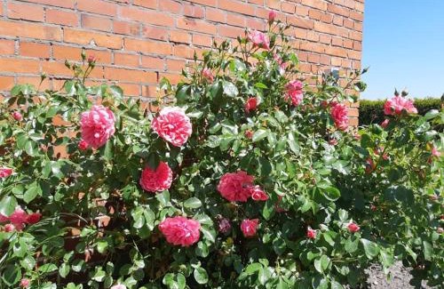 Bunde Casa | Monteurzimmer Ausma Wymeer Bunde - FeWo Vakantiehuis Heerenland