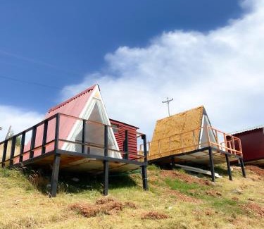 Tota Otro | Monteverde