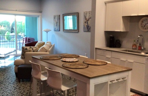 Central Area Apartamento | Month to Month Downtown Salem OR. Loft Apartment 229