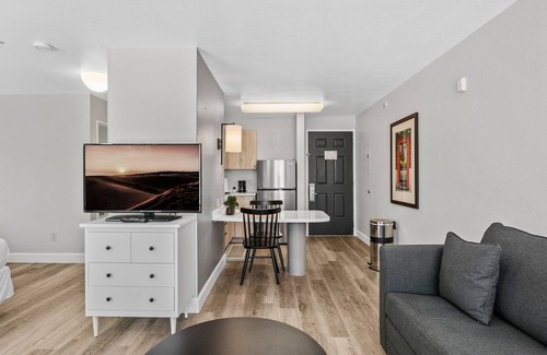 North Burnet Apartamento | Monthly Discounts! Modern, Cozy Studio near Domain and UT Austin