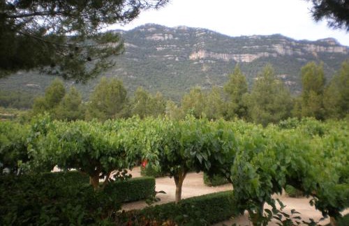 Ulldemolins Otro | Montsant Park Camping & Bungalow