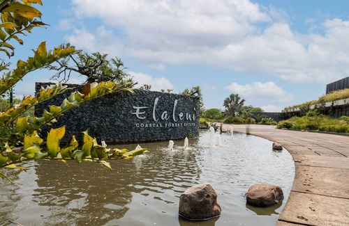 Salt Rock Apartamento | Moody Modern Coastal Forest Condo