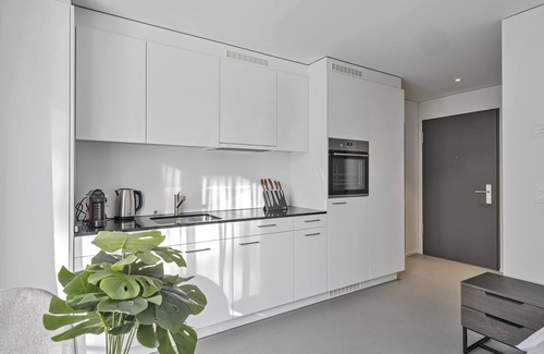 Grenchen Apartamento | MOOI Apartments Grenchen
