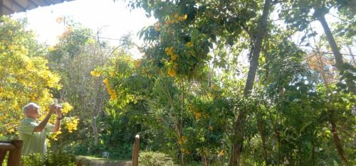 Ko Mook Cabina | Mook Bamboo Bungalows