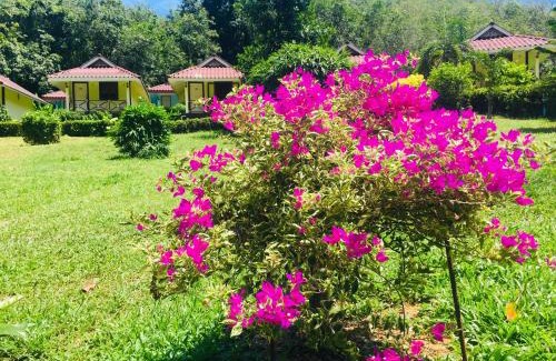 Ko Mook Casa | Mookies Bungalows