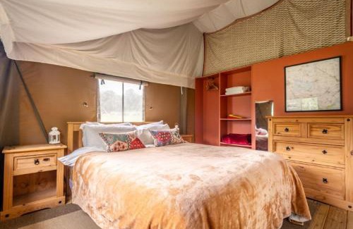 Exton Casa | Moorhen - Exton Park