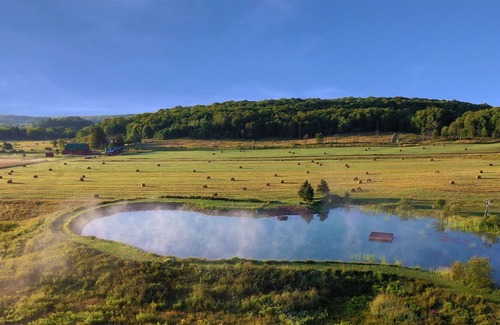Utterson Cabina | Moose Lodge - Family Nature Retreat Lodge in Muskoka