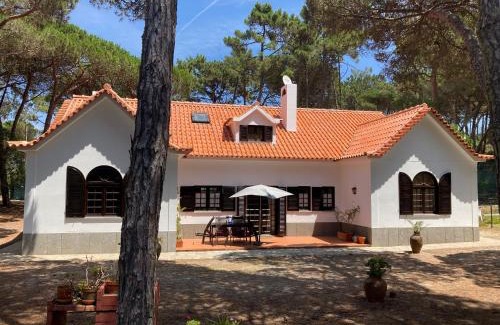 Mucifal Casa | Moradia no Pinhal com Piscina - Espaço e Privacidade para as suas Férias!
