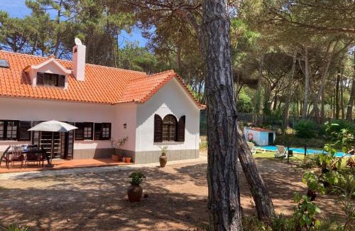 Mucifal Casa | Moradia no Pinhal com Piscina - Espaço e Privacidade para as suas Férias!