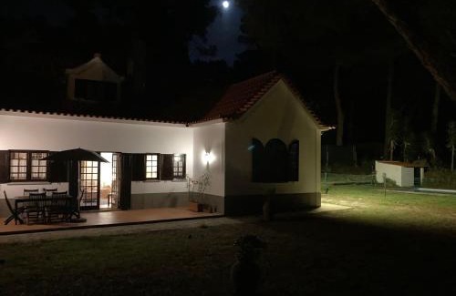 Mucifal Casa | Moradia no Pinhal com Piscina - Espaço e Privacidade para as suas Férias!
