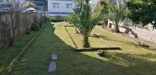 Santa Comba Dao Casa | Moradia santa comba